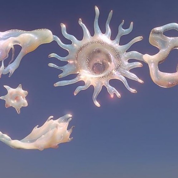 Meet your Posher, Chrispy - Picture 1 of 1